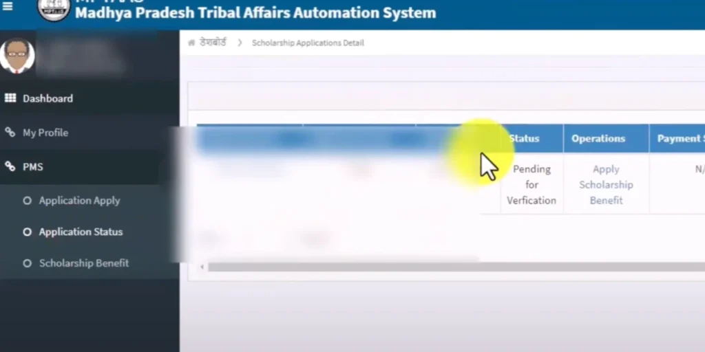 Mptaas Application status pending for verification